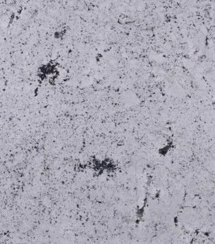 72b988d5e07fec0554706ccfbdb9ad